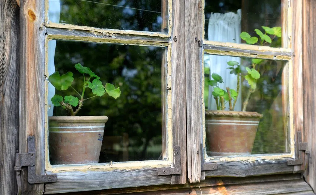 Odnawiamy stare okna drewniane – praktyczny poradnik